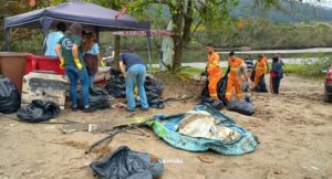 Limpeza no Perequê-Açu retira quase 90 kg de resíduos da restinga