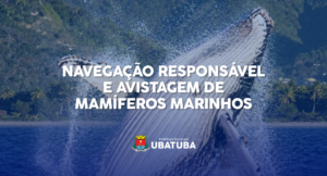 Ubatuba terá encontros para discutir regras de observação de cetáceos