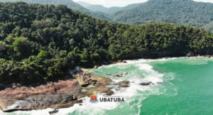 Dados ambientais apontam avanço na preservação da Mata Atlântica paulista