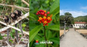 Ubatuba encerra Festival da Mata Atlântica com recorde de participação
