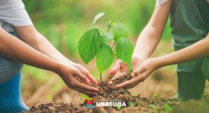 Dia da Árvore terá ações de educação ambiental e plantio em Ubatuba